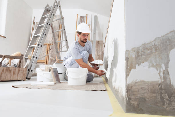 Touch-Up Painting Services in Bude, MS